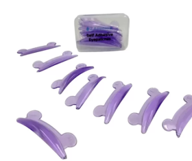 Bigudies Ranita anatomicos Zaphiria